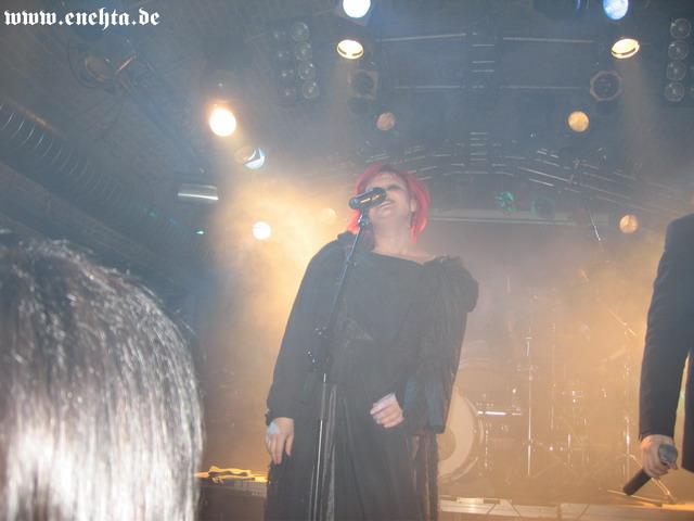 Lame Immotrelle vom 20.02.2008-027.jpg